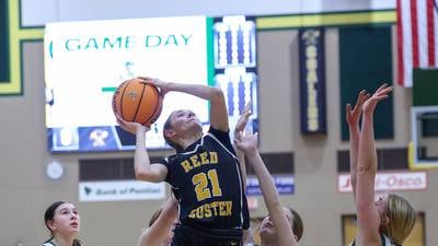 Reed-Custer’s Alyssa Wollenzien nears triple-double in win over Coal City