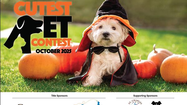 Voting is open in the Kane County’s October Cutest Pet Contest