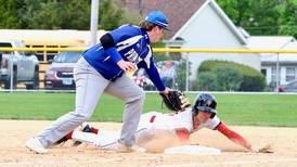 Regional pairings set for Bureau County baseball, softball teams 