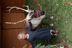 Christmas arrives at Summerfield Zoo in Belvidere