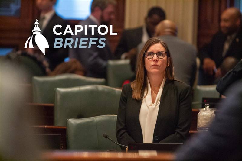 State Rep. Ann Williams, D-Chicago, is pictured on the floor of the Illinois House on Thursday during debate over her bill to create a fully elected Chicago school board in 2026.