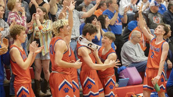 Photos: Eastland takes on Dakota in Class 1A sectional semi