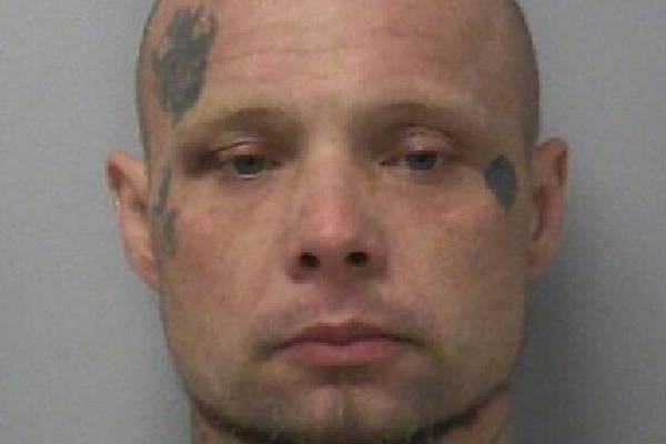 Dixon man pleads not guilty to aggravated domestic battery, strangulation charges 