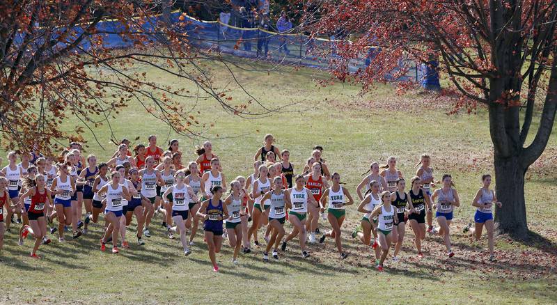 The start of the girls varsity race during the IHSA Class 3A Lake Park cross country sectional  Saturday, Nov. 2, 2024 in Roselle.
