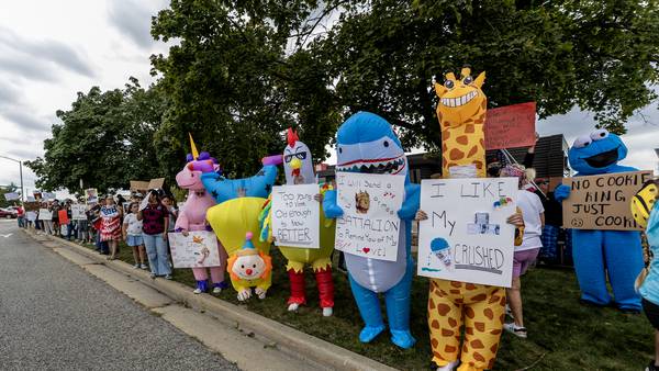 Photos: No Kings protests in Will County draw large crowds