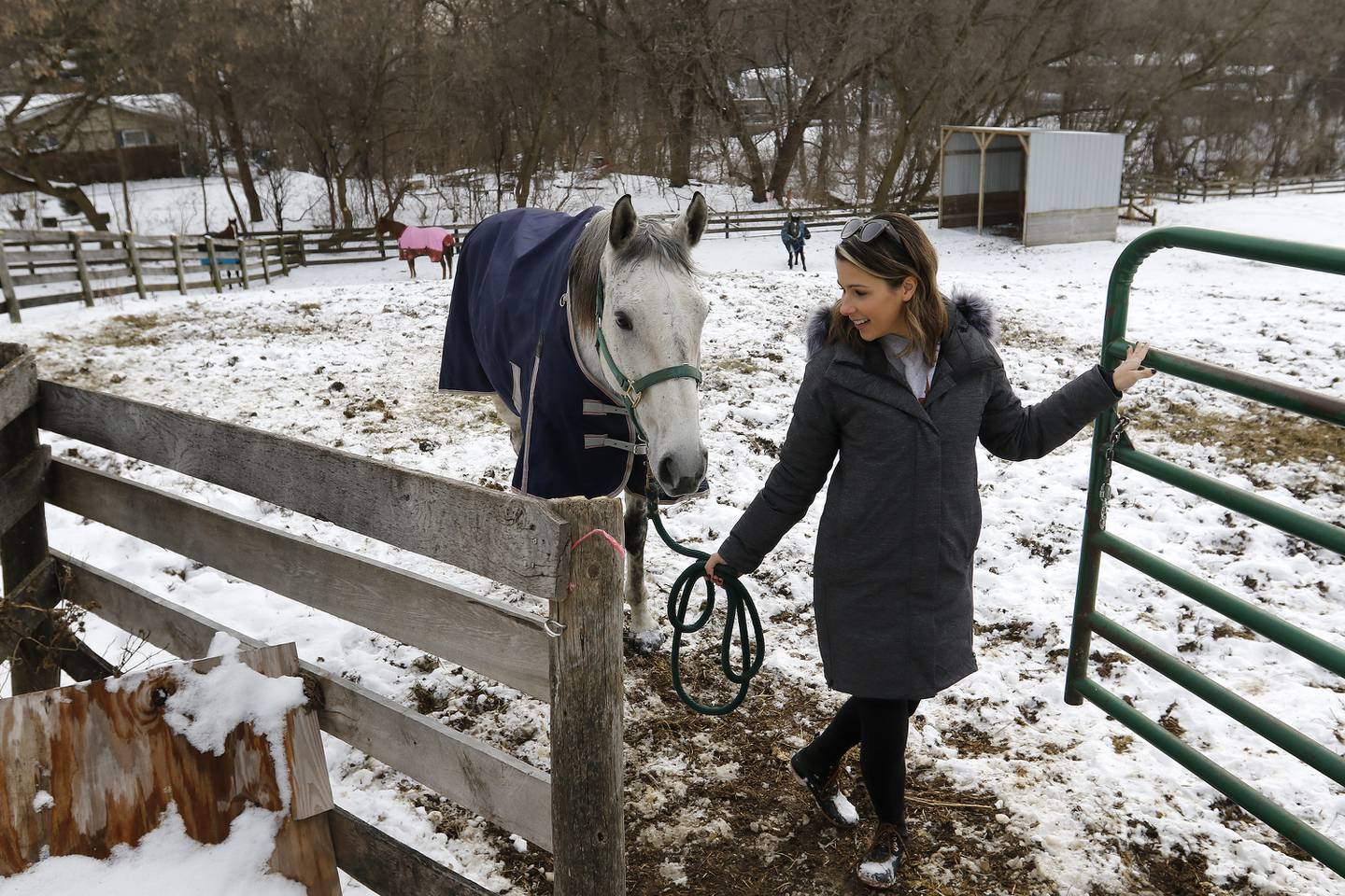 Alyssa Murphy leads out her horse "Lumos" at the horse barn on Tuesday, Jan. 4, 2022 in the Village of Trout Valley. Lumos has recently found fame on TikTok under Murphy's account, alyssa_ali123.