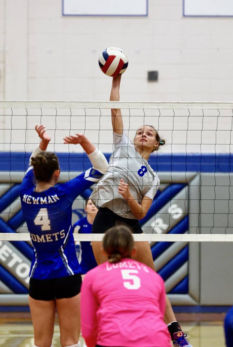 Princeton's Keighley Davis hits over  Newman's Ruby Burger (4) in Tuesday's Three Rivers match at Prouty Gym. The Tigresses won 2-0.