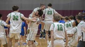 Photos: Rock Falls vs Princeton Class 2A Sectional final