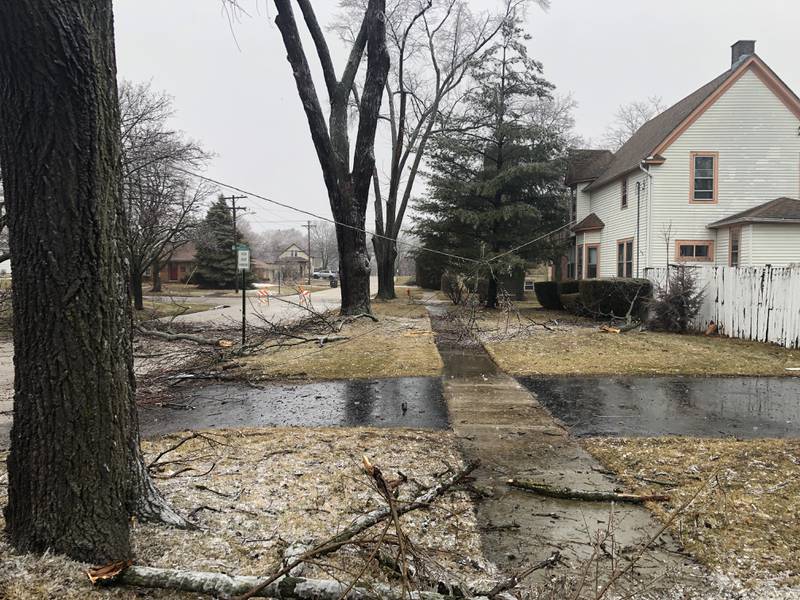 Downed branches and wires litter Sherman Street on Thursday, Feb. 23, 2023, in downtown Crystal Lake.