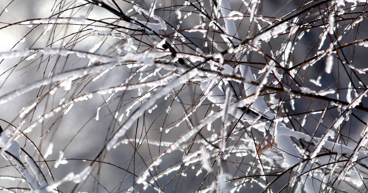 How do you endure severe weather? Westmont has some tips Shaw Local