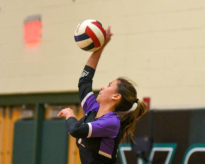 Downers Grove North's Anabel Miller (2) serves the ball on Tuesday Oct. 22, 2024, while traveling to take on York High School in Elmhurst.