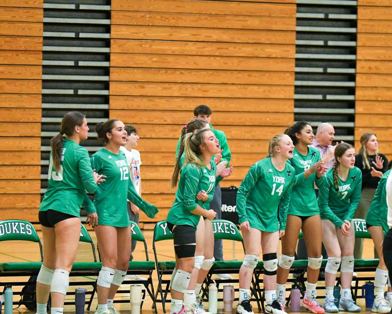York celebrates a point during the regional title game while taking on Lyons Township on Thursday Oct. 30, 2025, held at York High School.