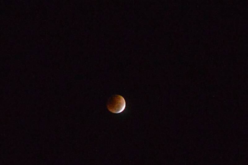 The moon appears red during a total lunar eclipse as seen in the sky over Dixon shortly before 5 a.m. Tuesday, Nov. 8, 2022, as it set in the western sky. The moon passed through the earth's shadow. The eclipse was completely visible over the Pacific and most of North America. It is the second blood moon this calendar year; the other was in mid-May. The next one will be March 14, 2025. A November full moon carries the moniker "beaver moon," according to the Old Farmer's Almanac, because European settlers and native peoples of the eastern seaboard set their beaver traps by its appearance.