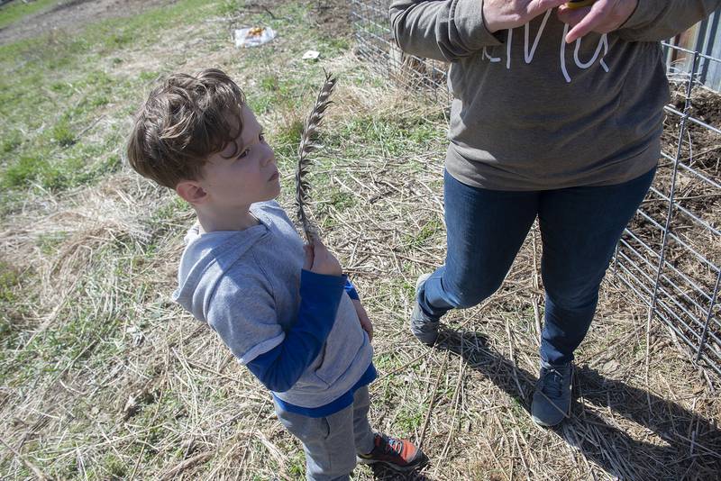 Silas North, 5, of Morrison finds a turkey feather while taking part in the foraging class Thursday, April 21, 2022 at Kinwood Farm.