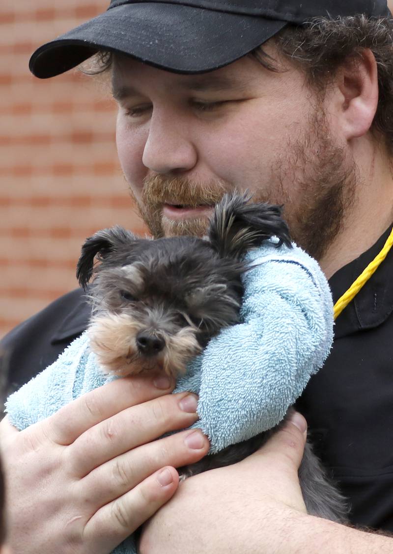 Jason Enos comforts a little dog after preparing the dog for a rabies shot during a rabies vaccine event on Tuesday, April 16, 2024, at the McHenry County Animal Control and Adoption Center, in Crystal Lake. Two more low-cost rabies vaccination clinics will be offered on May 14th, and May 21st. The clinics are by appointment only, and registration is available online at bit.ly/MCAC-clinics.