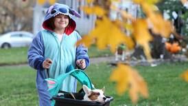 Safe Halloween trick-or-treat tips from Sycamore police