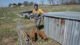 Kinwood Farm a hub of organic, community supported agriculture