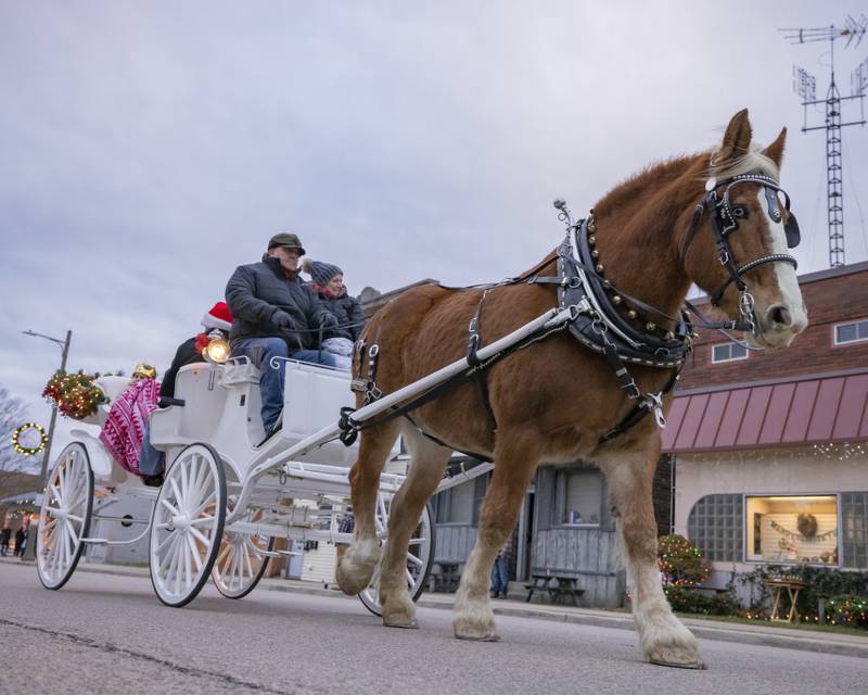 A horse drawn carriage was on of many displays featured in the Oglesby Winter Parade on December 9, 2023.