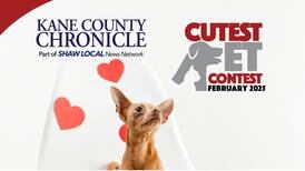 Kane County's February Cutest Pet Contest