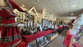 Morris museum’s Festival of Trees auction to brighten homes