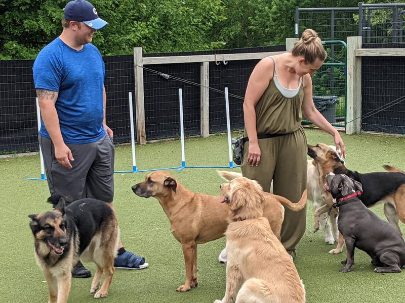 Beau and Traci Bartulis own BTK9 dog training facility, which recently moved to Sandwich after being located in Aurora since 2019.