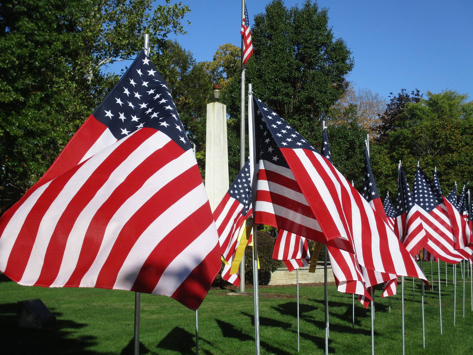Yorkville’s impressive Flags of Valor display honors Kendall County