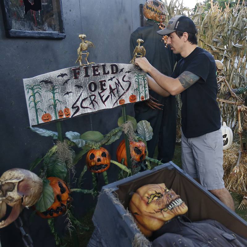 Chris Skaja works on setting up the "Massacre on McKinley" Halloween display at his home, 4 McKinley St. in Lake in the Hills, on Wednesday, Oct. 5, 2022. The display opens to the public on Saturday.