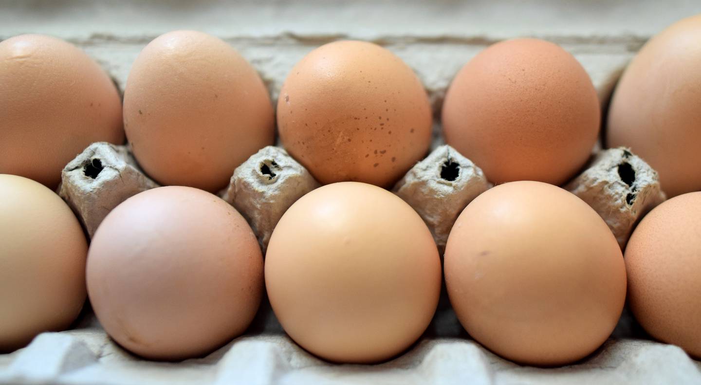 High egg prices prompted a Newton citizen to research the city's rules on keeping chickens within city limits and make a request to a city council member. After a presentation from city staff, it became clear the push from citizens was likely not strong enough to warrant a change in the city code. For every one acre of land, citizens can keep four chickens. But only if they meet other requirements, too.