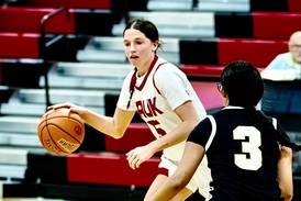 Jim Nugent, Sauk Valley Skyhawks take flight in first season