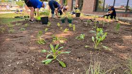 Lake in the Hills Rotary Club plants fifth pollinator garden