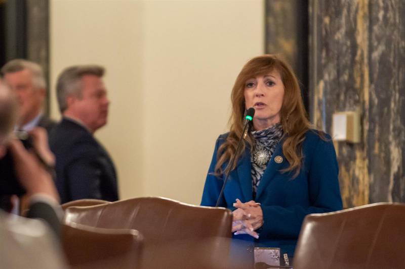 State Sen. Linda Holmes, D-Aurora, is pictured on the Senate floor Wednesday. (Capitol News Illinois photo by Jerry Nowicki)