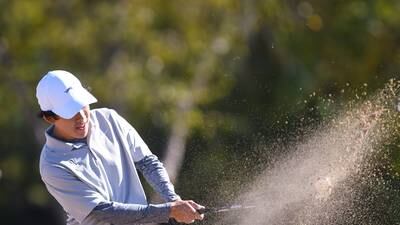 Oswego East junior Logan Hong is the Record Newspapers Boys Golfer of the Year