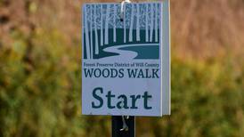 Black Friday sale supports forest district foundation