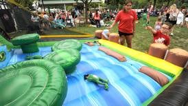 Festivals, live music in Kane, Kendall counties this summer