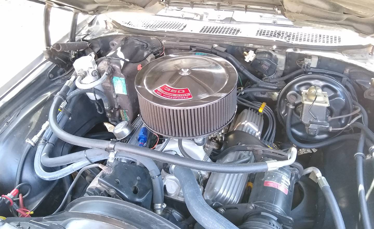 Photos by Rudy Host, Jr. - 1972 Chevelle Engine