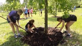Milton Pope students volunteer at Illinois Fallen Soldiers Tree Memorial in Marseilles