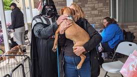 May the furs be with you: Oswego boarder holds Star Wars-themed adoption event 