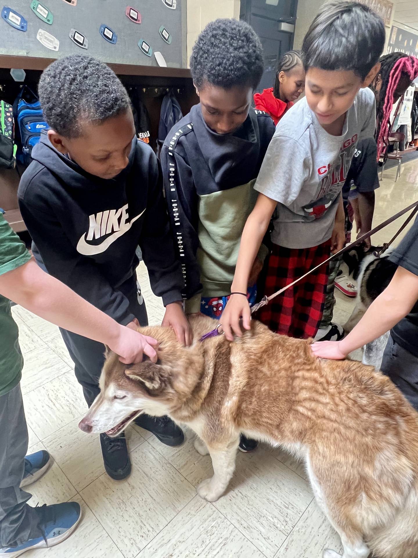Lincoln Elementary School students learn about the Alaskan Iditarod in March 2025, part of special programming coordinated by teachers who saw the race in person at a conference in Anchorage, Alaska. Students enjoyed specialized library time and got to interact with dogs as part of the lessons.