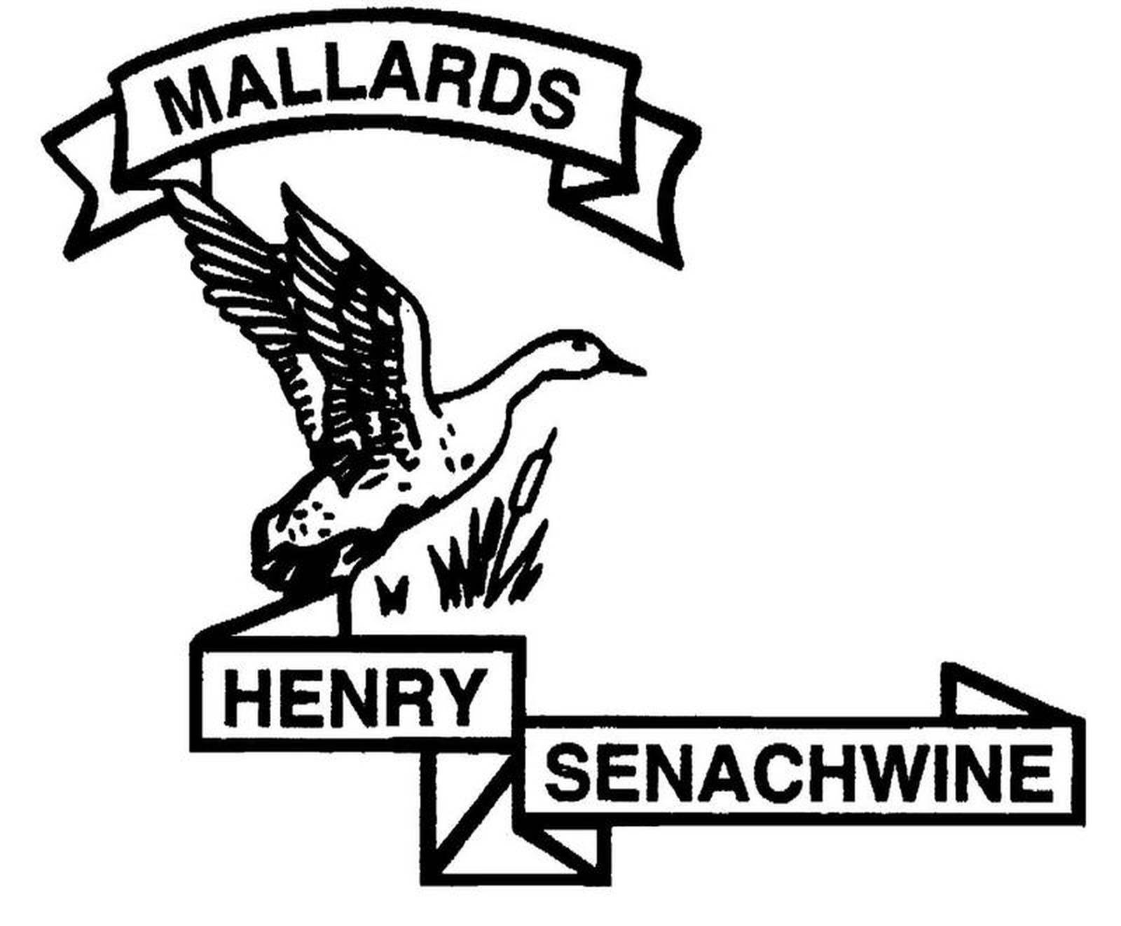 BOYS BASKETBALL Henry starts slow, finishes strong to beat DePue