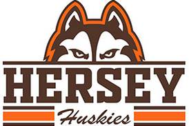 Brandon Jenkins carries Hersey into quarterfinals for first time since 1987