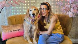 Pet rescues flag urgent need for more foster homes amid decline