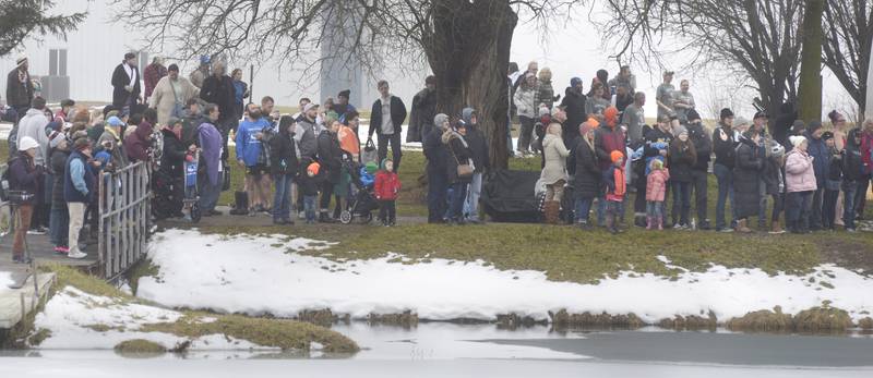 A large crowd was on hand to watch teams and individuals jump into the icy waters Saturday, Jan. 27, 2024, at the swimming pond at Skydive Chicago in Ottawa during the annual Penguin Plunge.