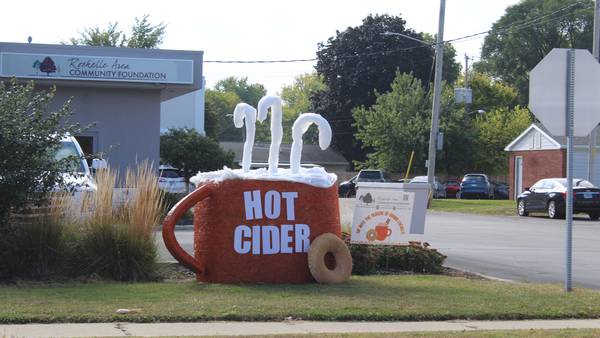 Sauk Valley Living’s Top 15 decorative hay bales in Rochelle