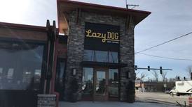 Lazy Dog open to human and doggy diners
