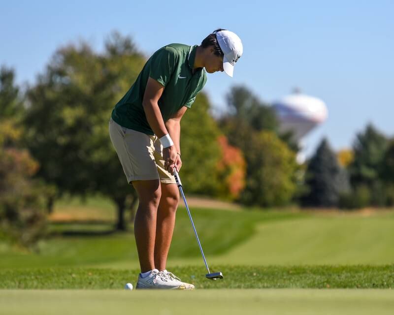 Glenbard West’s Ivan Blood putts on Monday Oct. 7, 2024, during the 3A sectional match held at Blackberry Oaks Golf Course in Bristol.