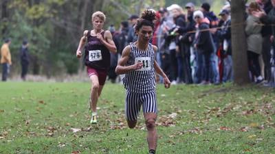 Boys cross country: Rivals Plainfield North, Plainfield South celebrate state success together