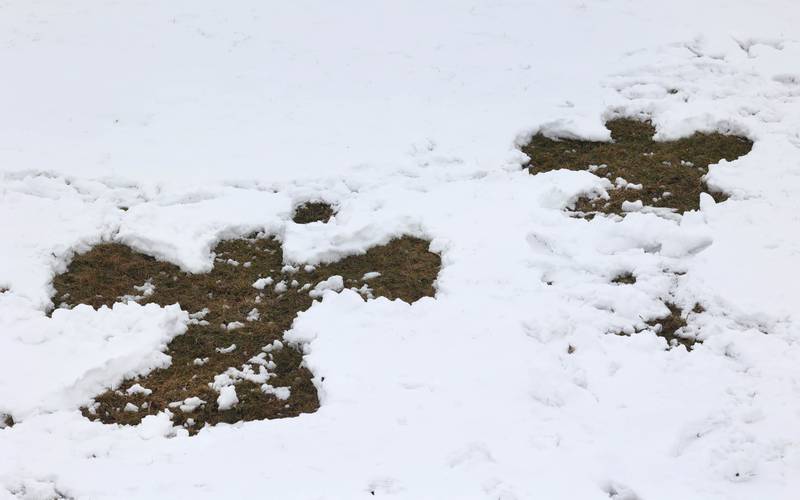 Two snow angels greet visitors Wednesday, Jan. 25, 2023, at Hopkins Park in DeKalb.