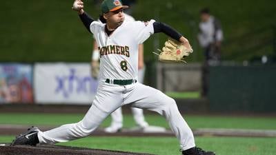 5 Things to Do in Will County: Rockin’ the Ville, Joliet Slammers and more