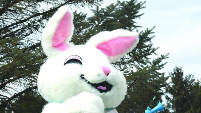 Geneva Chamber to welcome the Easter Bunny 