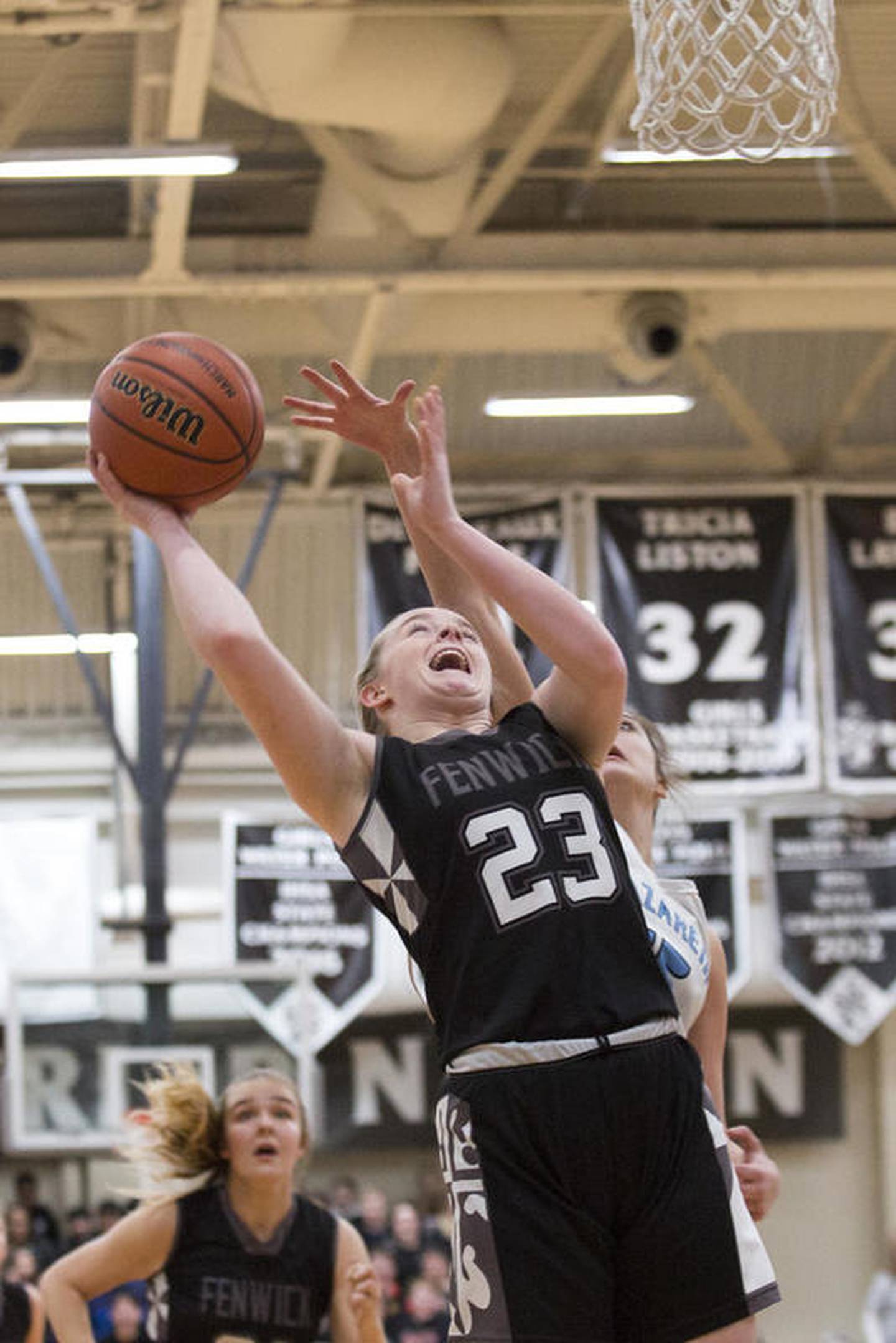 Fenwick High School's Elise Heneghan draws a foul on Thursday, Feb. 21, 2019, at Fenwick High School in Oak Park, Ill. The Roadrunners beat the Friars 46-37 to become sectional champions.